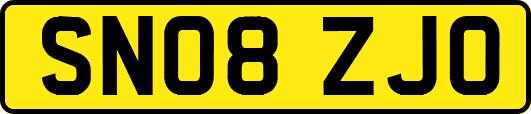 SN08ZJO