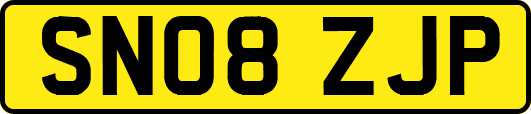 SN08ZJP
