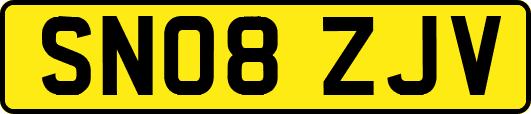 SN08ZJV
