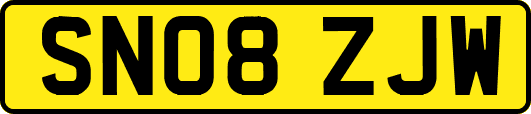 SN08ZJW