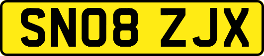 SN08ZJX