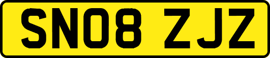 SN08ZJZ