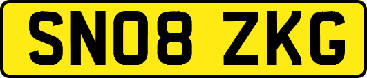 SN08ZKG