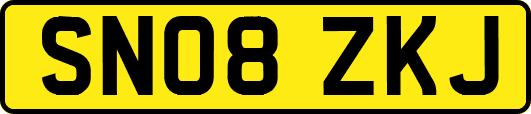 SN08ZKJ