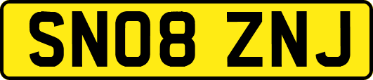 SN08ZNJ