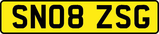 SN08ZSG