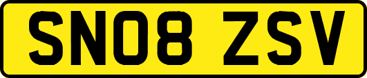 SN08ZSV
