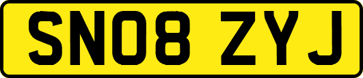 SN08ZYJ