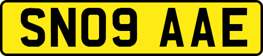 SN09AAE
