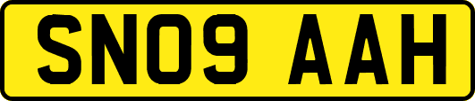 SN09AAH