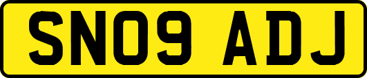 SN09ADJ