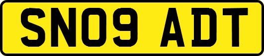 SN09ADT