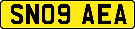 SN09AEA