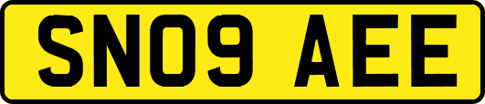 SN09AEE