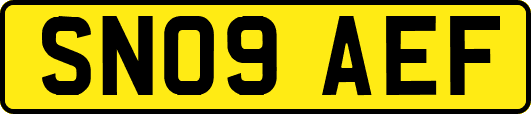 SN09AEF