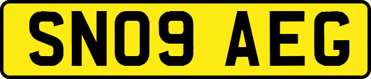 SN09AEG