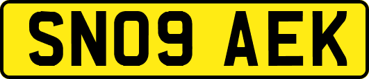 SN09AEK