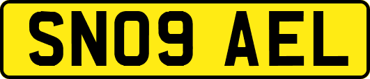 SN09AEL