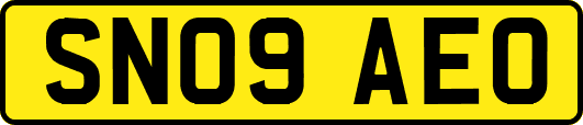 SN09AEO
