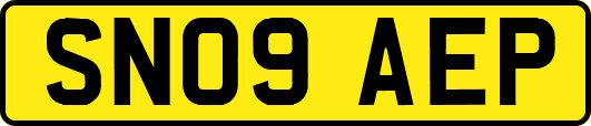 SN09AEP