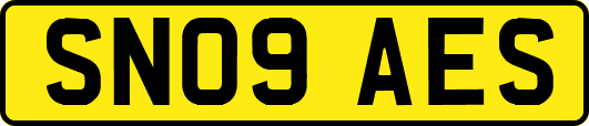 SN09AES