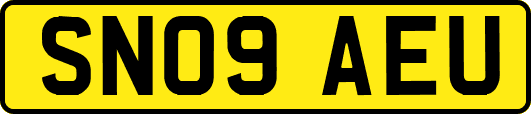SN09AEU
