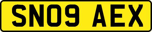 SN09AEX