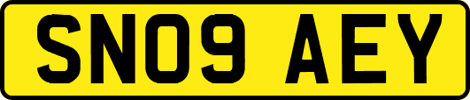 SN09AEY