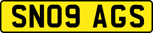 SN09AGS
