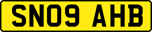 SN09AHB