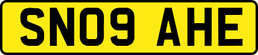 SN09AHE