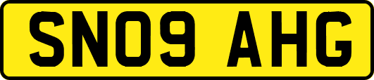 SN09AHG