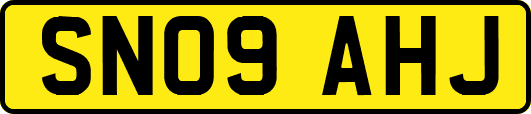 SN09AHJ