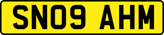SN09AHM