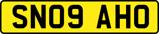SN09AHO