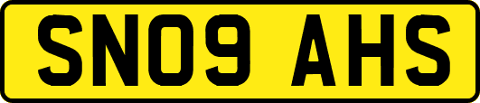 SN09AHS