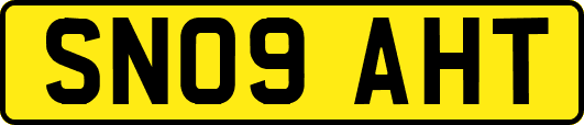 SN09AHT