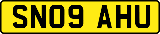 SN09AHU