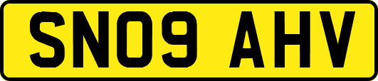 SN09AHV