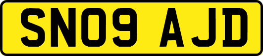 SN09AJD