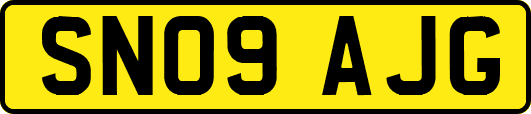 SN09AJG