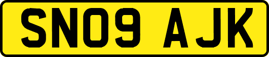 SN09AJK