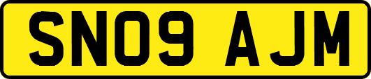 SN09AJM