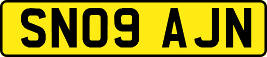 SN09AJN