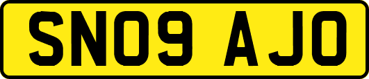 SN09AJO