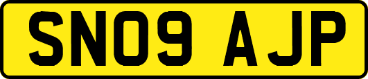 SN09AJP