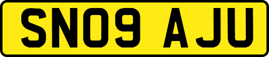 SN09AJU