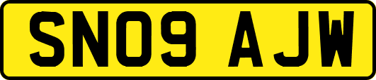 SN09AJW