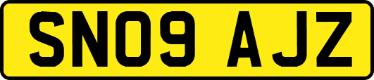 SN09AJZ