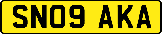 SN09AKA
